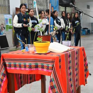 Celebración Día del Ambiente - Secundaria