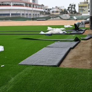 Reinicio de trabajos Campos sintéticos